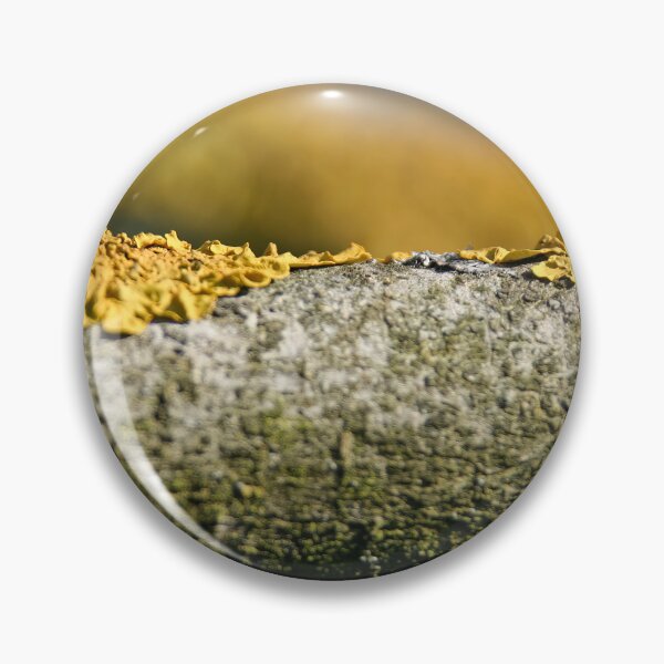 Item preview, Lichen on Lilac designed and sold by Calidris Fotografie Steffi & Ben Köppler.