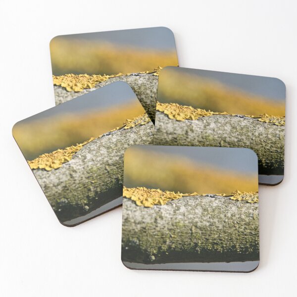 Item preview, Lichen on Lilac designed and sold by Calidris Fotografie Steffi & Ben Köppler.