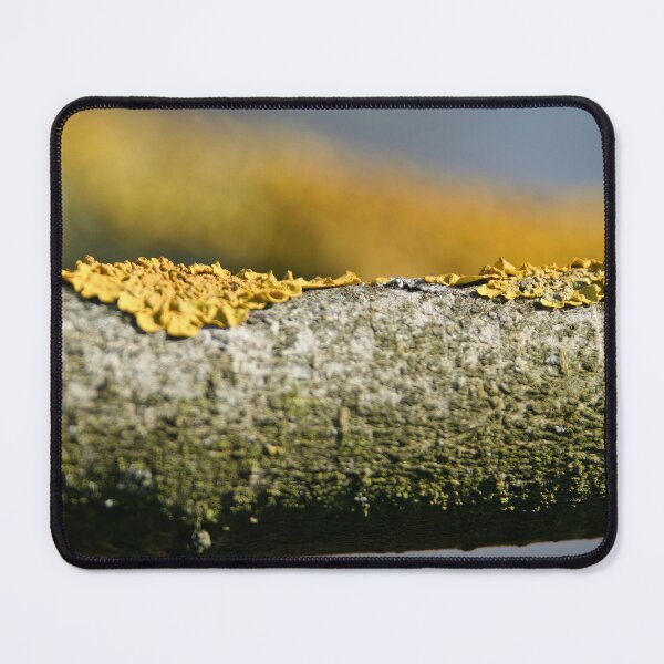 Item preview, Lichen on Lilac designed and sold by Calidris Fotografie Steffi & Ben Köppler.