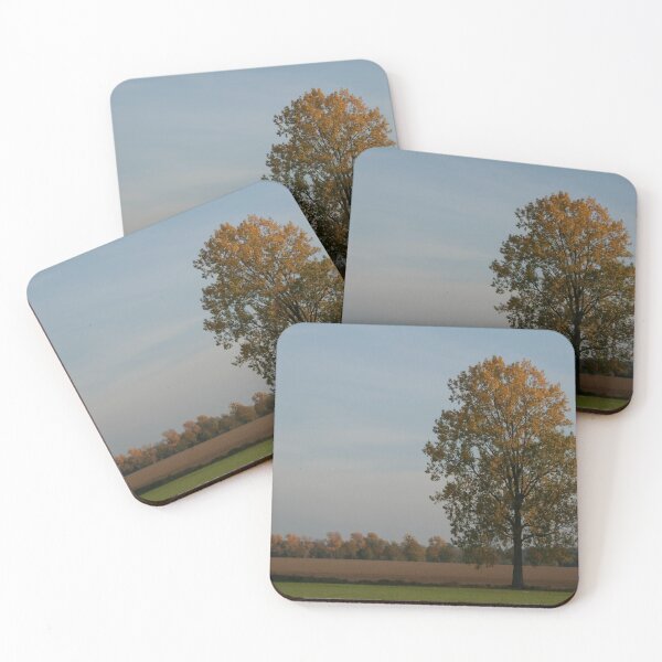 Item preview, Lone Poplar designed and sold by Calidris Fotografie Steffi & Ben Köppler.