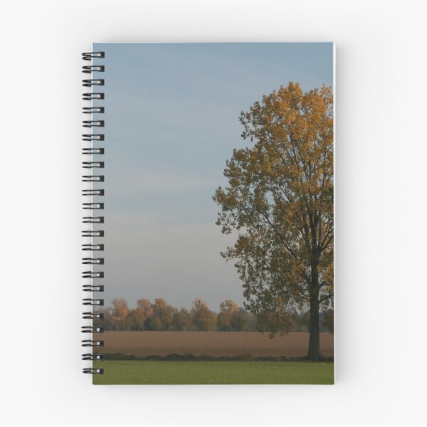 Item preview, Lone Poplar designed and sold by Calidris Fotografie Steffi & Ben Köppler.