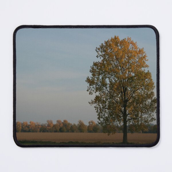 Item preview, Lone Poplar designed and sold by Calidris Fotografie Steffi & Ben Köppler.