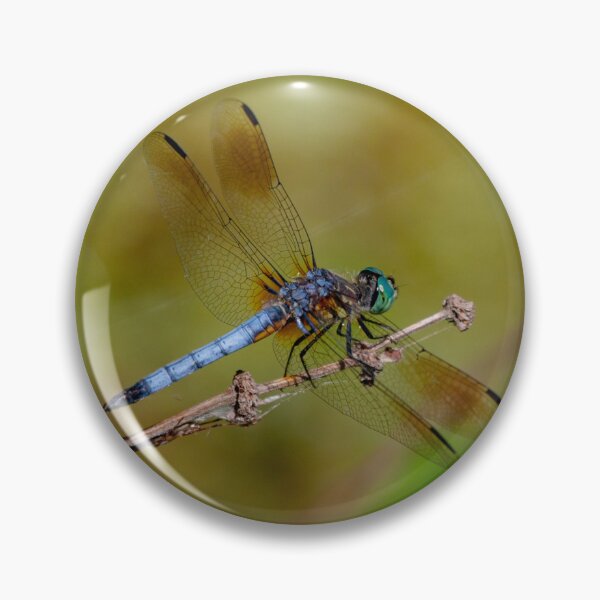 Item preview, Give A Dragonfly Kiss To Your Lover: Blue Dasher, Anahuac NWR, Texas, USA.~The dragonfly symbolizes wisdom, change, transformation, light and adaptability in life.  designed and sold by MoreEZUSA-Here.