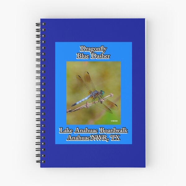 Item preview, Give A Dragonfly Kiss To Your Lover: Blue Dasher, Anahuac NWR, Texas, USA.~The dragonfly symbolizes wisdom, change, transformation, light and adaptability in life.  designed and sold by MoreEZUSA-Here.