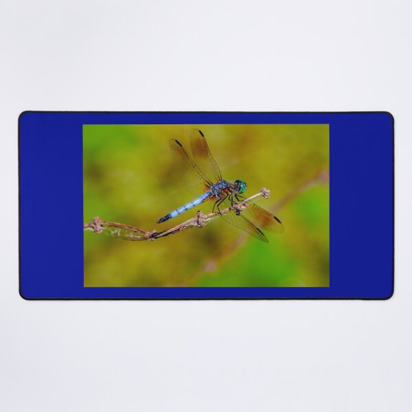 Item preview, Give A Dragonfly Kiss To Your Lover: Blue Dasher, Anahuac NWR, Texas, USA.~The dragonfly symbolizes wisdom, change, transformation, light and adaptability in life.  designed and sold by MoreEZUSA-Here.