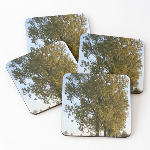 Item preview, Avenue of Poplars 2 designed and sold by Calidris Fotografie Steffi & Ben Köppler.
