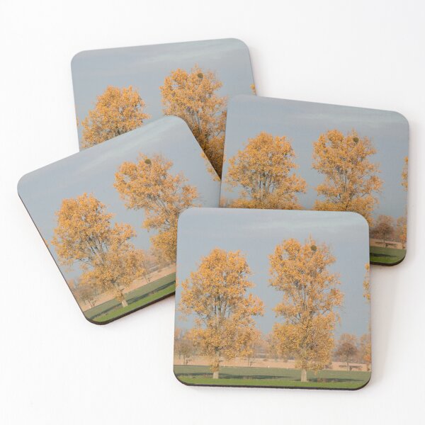 Item preview, Poplars designed and sold by Calidris Fotografie Steffi & Ben Köppler.