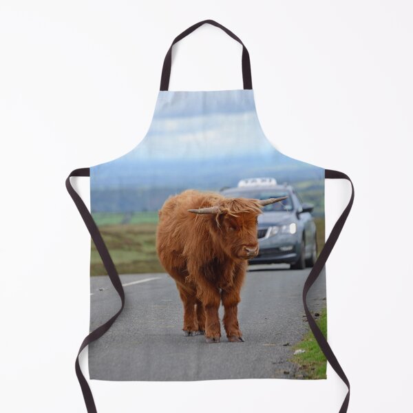 Item preview, Cute traffic calming on Dartmoor designed and sold by Random Railways.