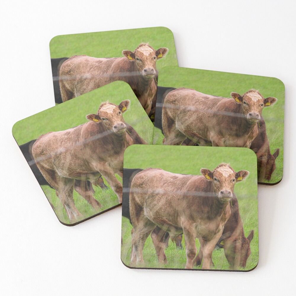 Item preview, Coasters (Set of 4) designed and sold by RStarArt.