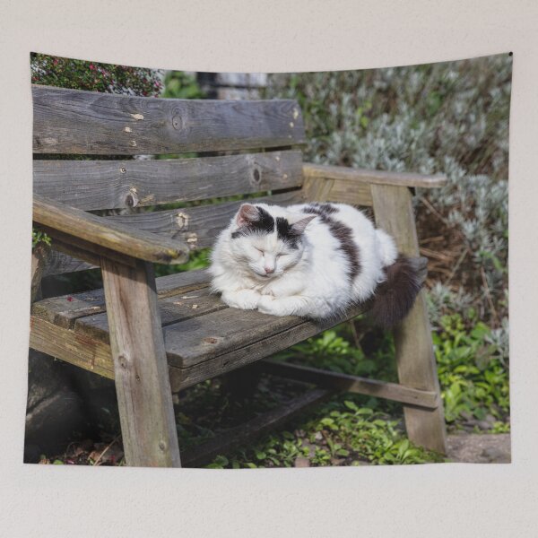 Item preview, Cute Cuddly Cat Catnapping in Clovelly  designed and sold by Paul Thompson Photography.
