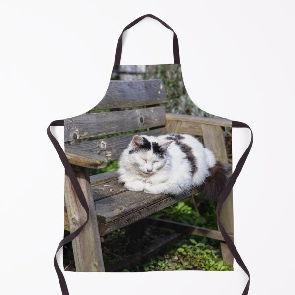 Item preview, Cute Cuddly Cat Catnapping in Clovelly  designed and sold by Paul Thompson Photography.