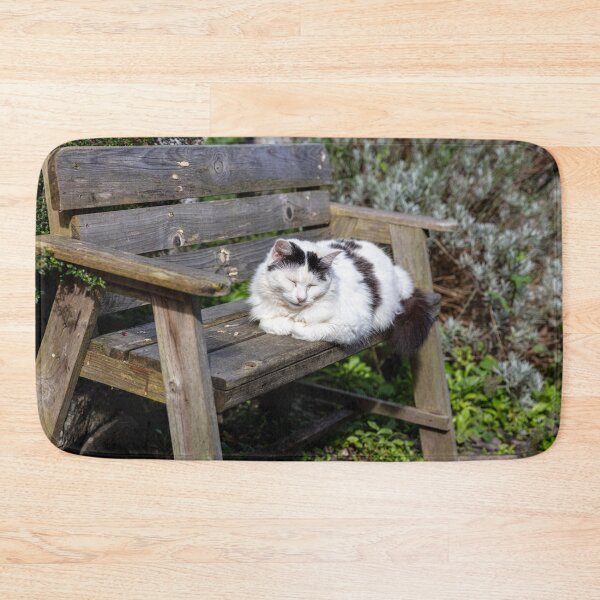Item preview, Cute Cuddly Cat Catnapping in Clovelly  designed and sold by Paul Thompson Photography.