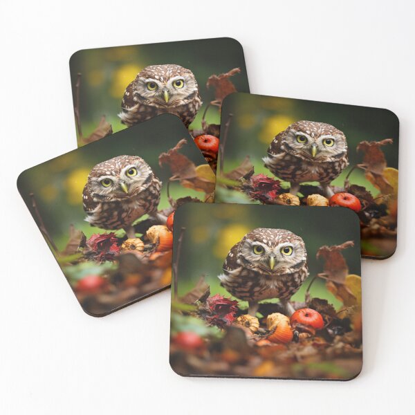 Item preview, British Little Owl Searching In The Leaves designed and sold by CustomCoolStuff.