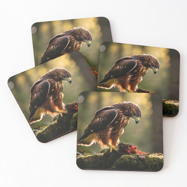 Item preview, Scruffy Harris Hawk  designed and sold by CustomCoolStuff.