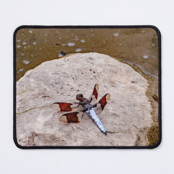 Item preview, For The Dragonfly Lover In You: Common Whitetail ~The Dragonfly symbolizes transformation and self-realization. The Dragonfly represents creative imagination and the insight of clear vision. designed and sold by MoreEZUSA-Here.