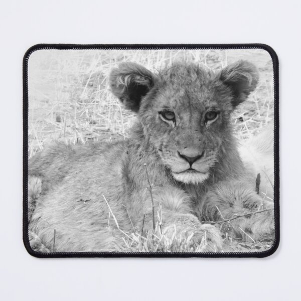 Item preview, lion cub designed and sold by Eric Nagel.