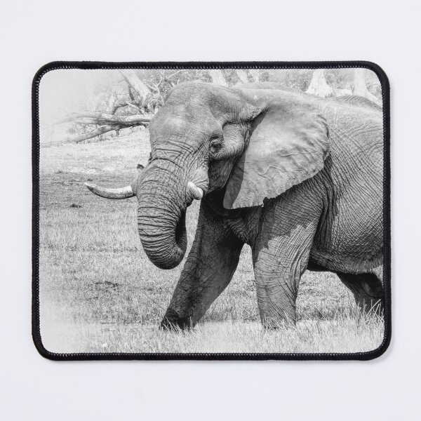 Item preview, Elephant by the river designed and sold by Eric Nagel.