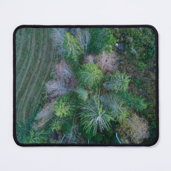 Item preview, October trees. Parkkuu 2023 designed and sold by Jouko Lehto Photography.