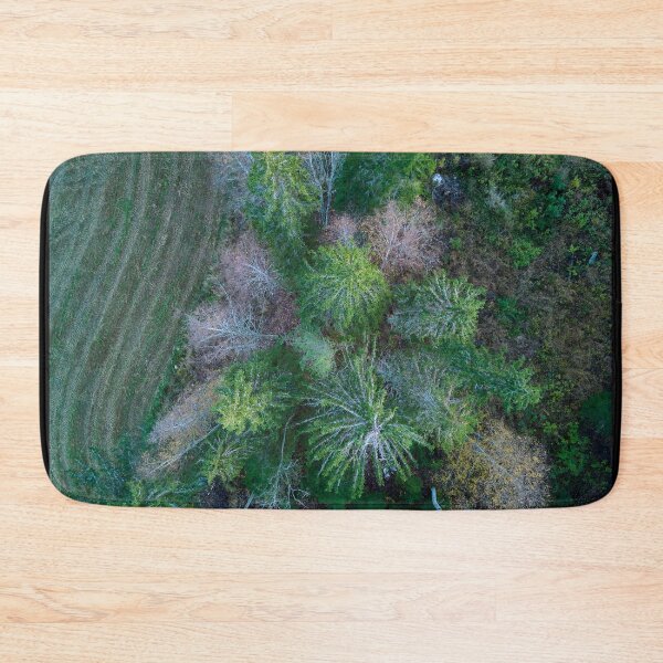 Item preview, October trees. Parkkuu 2023 designed and sold by Jouko Lehto Photography.