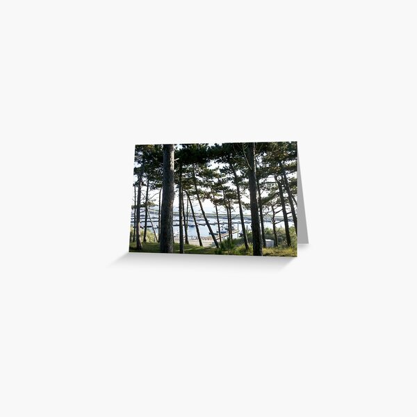 Item preview, Vlieland harbour in late autumn. designed and sold by harbourcat2023.