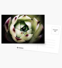 ominous Postcards