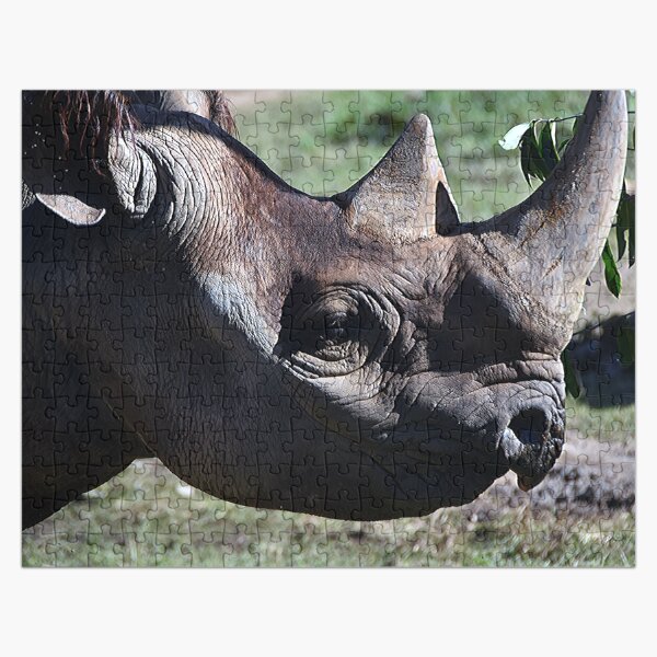 Rhino Close Up Photography Jigsaw Puzzle Jigsaw Puzzle