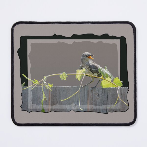 Item preview, North American Mockingbird designed and sold by CarolM.