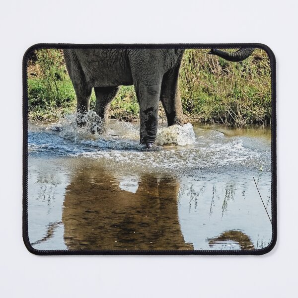 Item preview, Young Elephant Playing in a Puddle designed and sold by Kay Brewer.