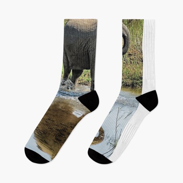 Item preview, Young Elephant Playing in a Puddle designed and sold by Kay Brewer.