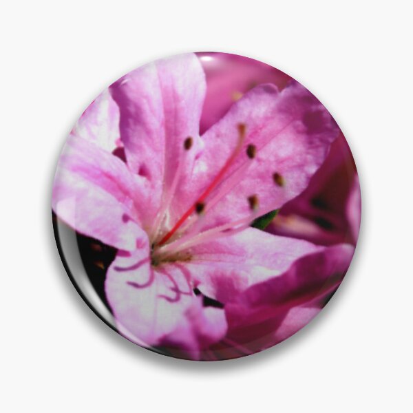 Item preview, Hey Juliet  designed and sold by Salte.
