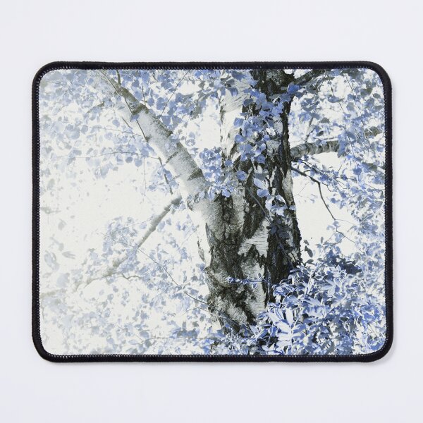 Item preview, Dreamy Birch Tree #5 #wall #art designed and sold by Anita's & Bella's Art.