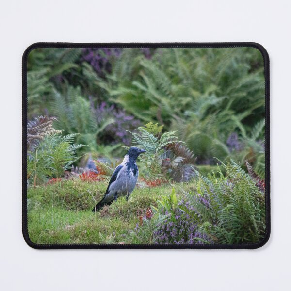 Item preview, Bird And Scottish Heather designed and sold by RStarArt.