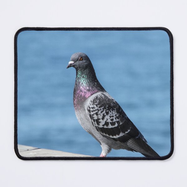 Item preview, I Am Beautiful and I Know It! designed and sold by heatherfriedman.