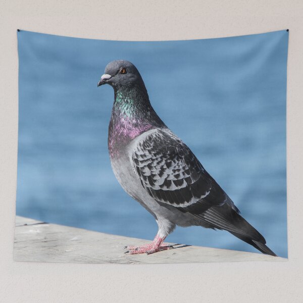 Item preview, I Am Beautiful and I Know It! designed and sold by heatherfriedman.