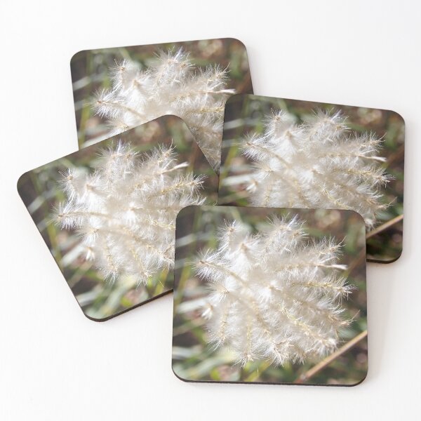 Item preview, End View of Grass Seed Head designed and sold by gistinker.
