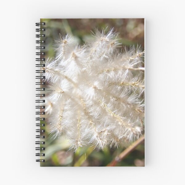 Item preview, End View of Grass Seed Head designed and sold by gistinker.