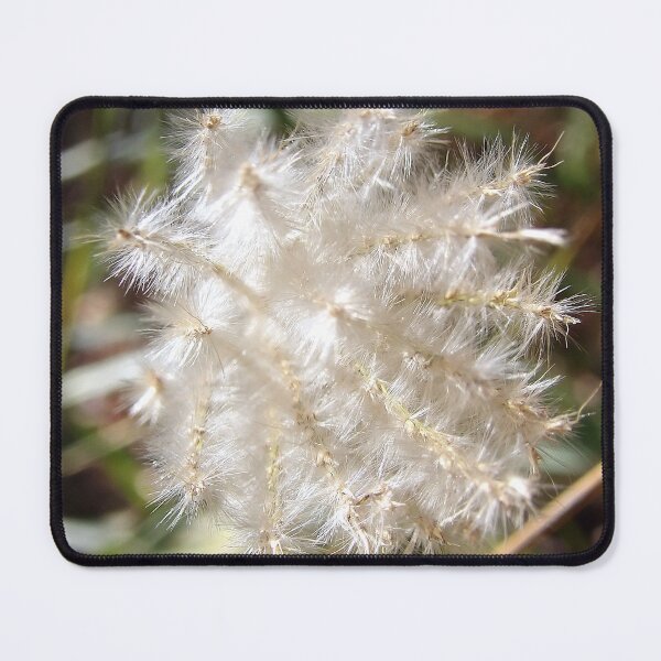 Item preview, End View of Grass Seed Head designed and sold by gistinker.