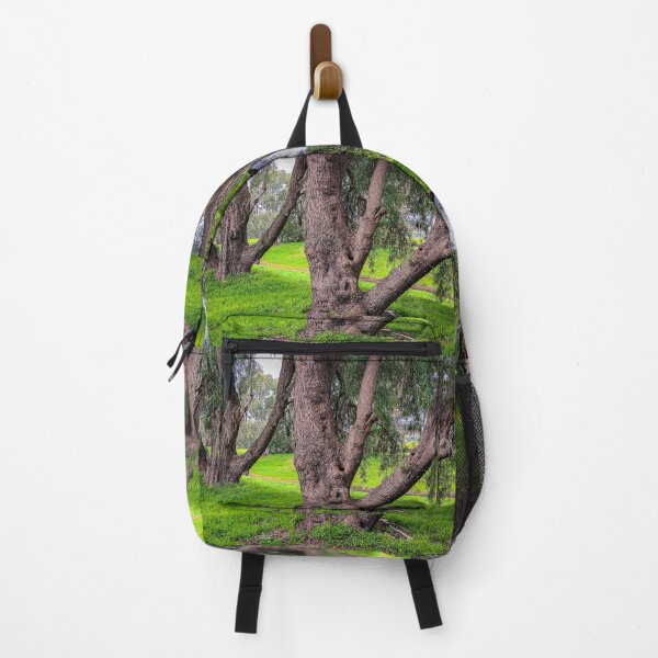Item preview, Gum Trees along the Creek - Bendigo, Victoria, Australia designed and sold by Steven Jodoin.