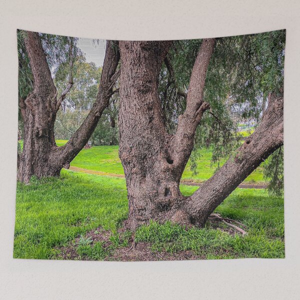 Item preview, Gum Trees along the Creek - Bendigo, Victoria, Australia designed and sold by Steven Jodoin.