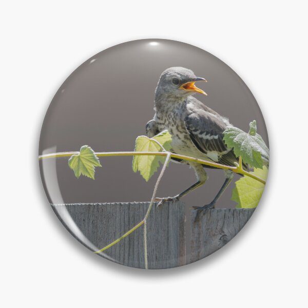 Item preview, North American Mockingbird designed and sold by CarolM.