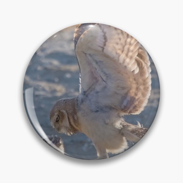 Item preview, Burrowing Owls Interacting designed and sold by CarolM.