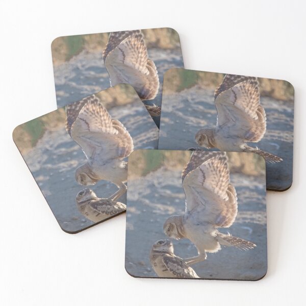 Item preview, Burrowing Owls Interacting designed and sold by CarolM.