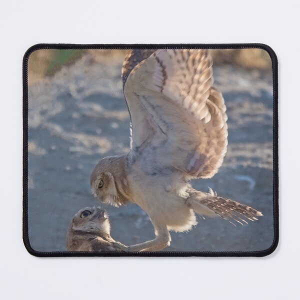 Item preview, Burrowing Owls Interacting designed and sold by CarolM.