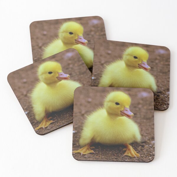 Item preview, Little Duck spacing out designed and sold by My Artprintz.