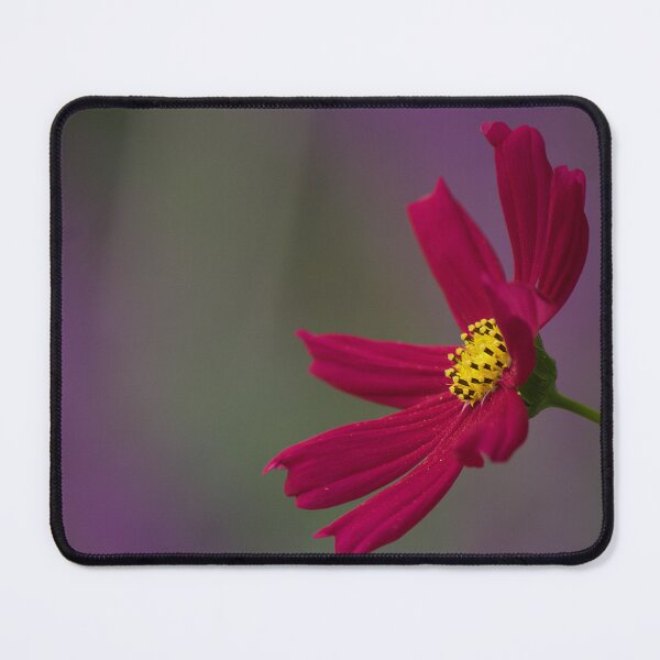 Item preview, Cosmo Flower designed and sold by Kim Chi Thai.