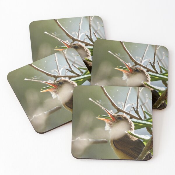 Item preview, Morning bird song designed and sold by Mark Grimsley.