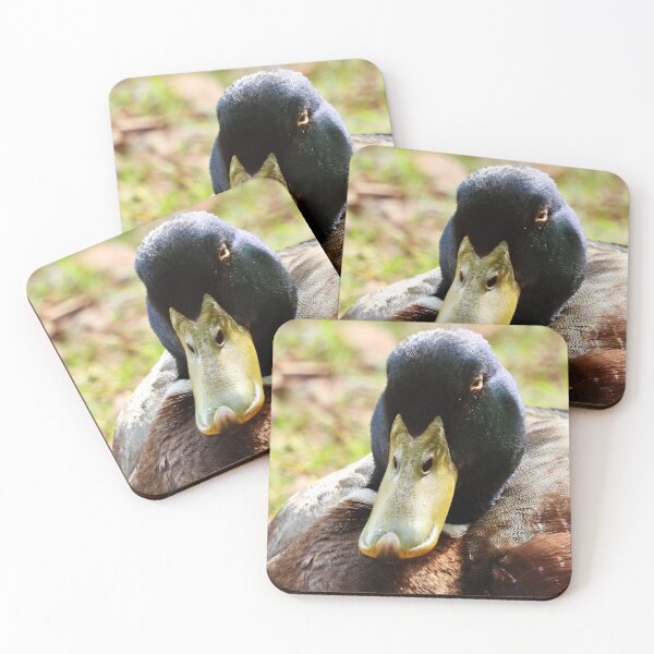 Item preview, Mallard Duck close up  designed and sold by Mark Grimsley.