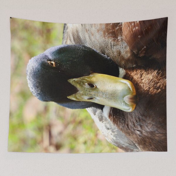 Item preview, Mallard Duck close up  designed and sold by Mark Grimsley.