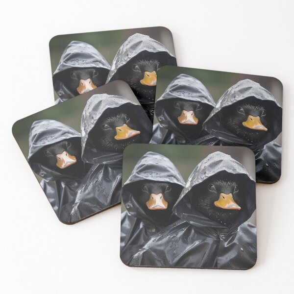 Item preview, Wet Ducks Rainwear designed and sold by Brendon987.