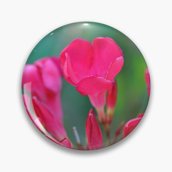 Item preview, Lovely Pink Oleander Flower bunch designed and sold by IPPhotography.